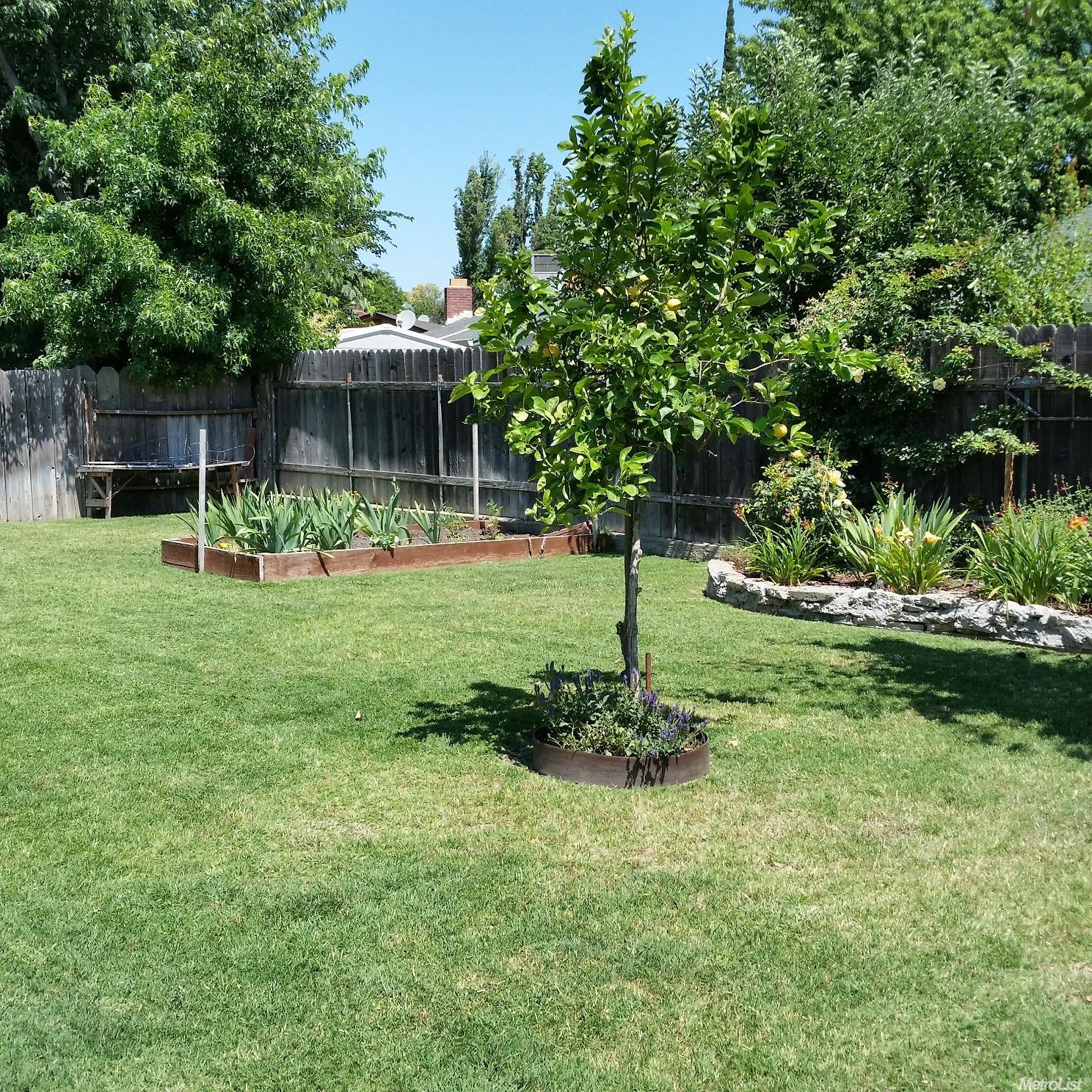 4353 Twain Dr, Olivehurst, CA 95961 photo 12