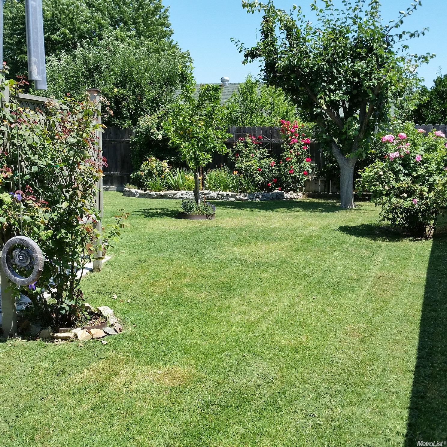 4353 Twain Dr, Olivehurst, CA 95961 photo 13