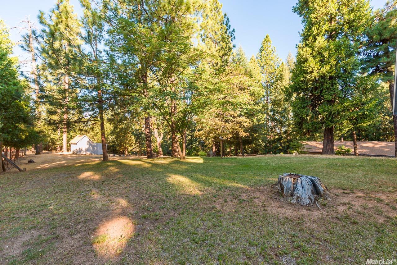 6200 Red Robin Rd, Placerville, CA 95667 photo 21