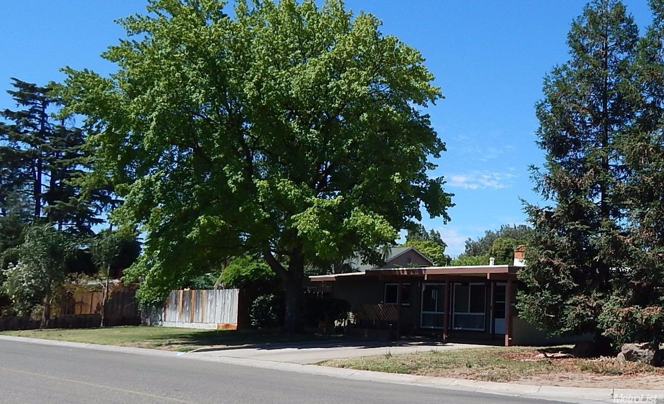1403 Mitchell Ave, Escalon, CA 95320 photo 24