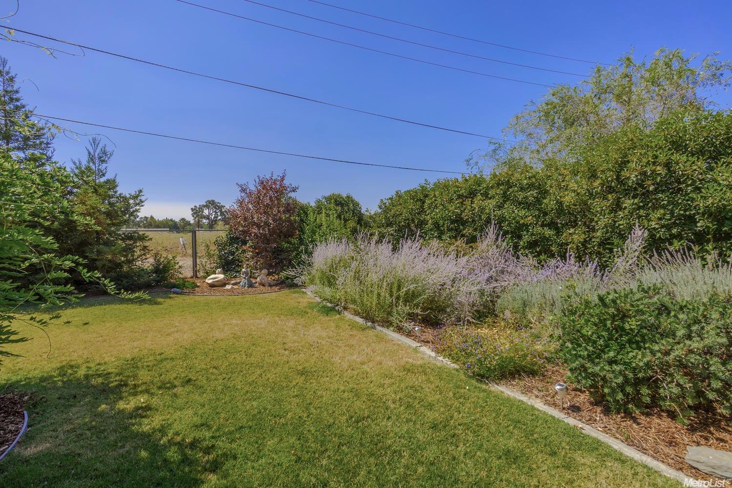2504 Regis Dr, Davis, CA 95618 photo 23