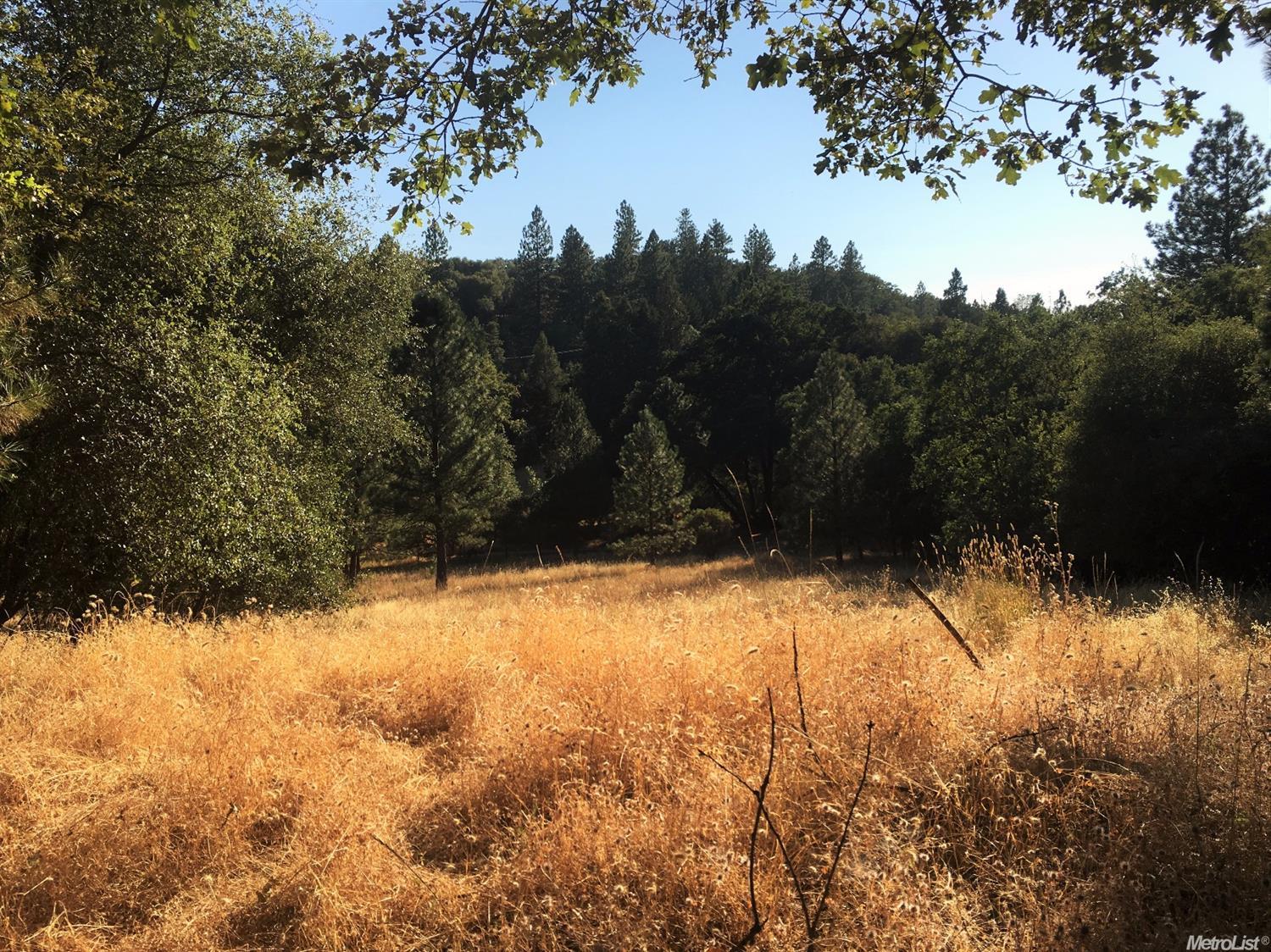 18287 Climax Rd, Jackson, CA 95642 photo 18