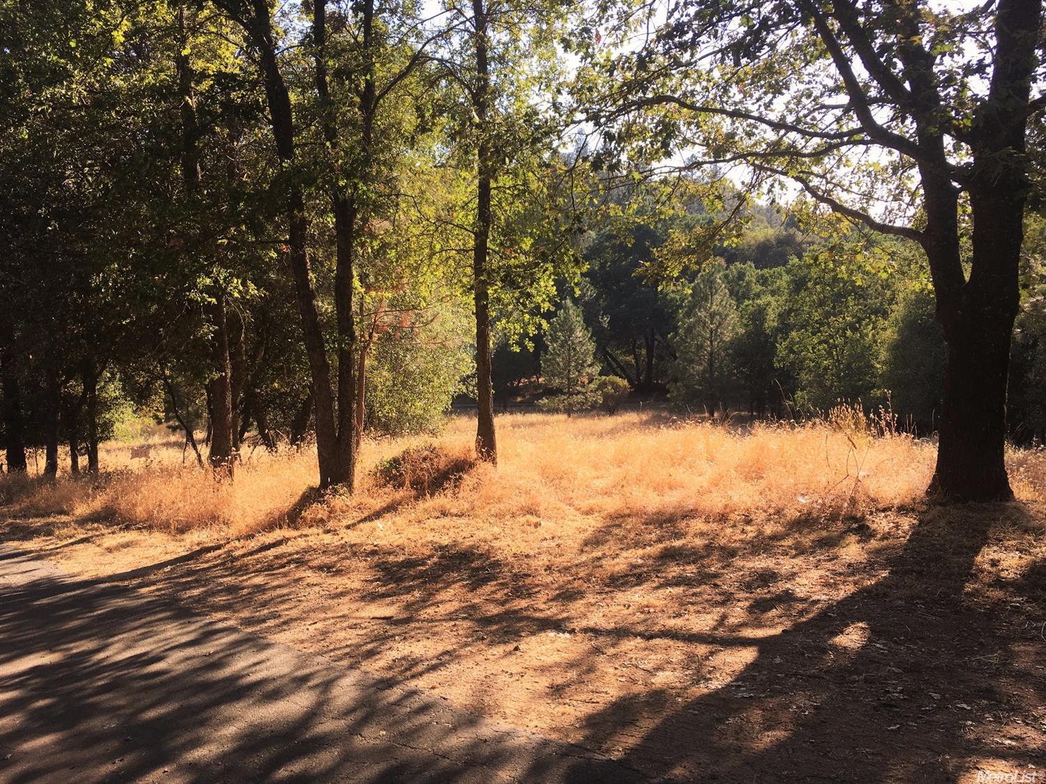 18287 Climax Rd, Jackson, CA 95642 photo 17