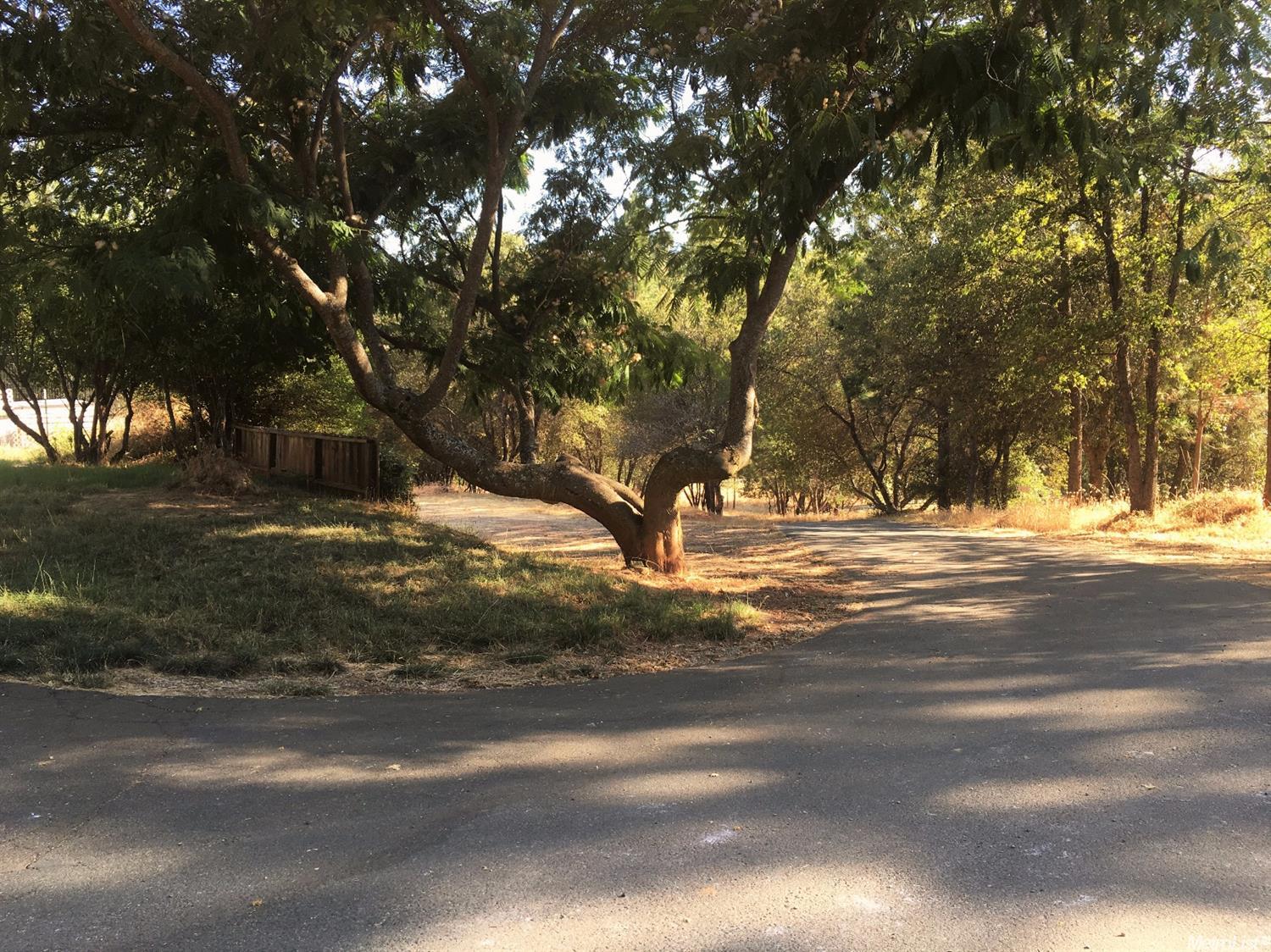 18287 Climax Rd, Jackson, CA 95642 photo 13