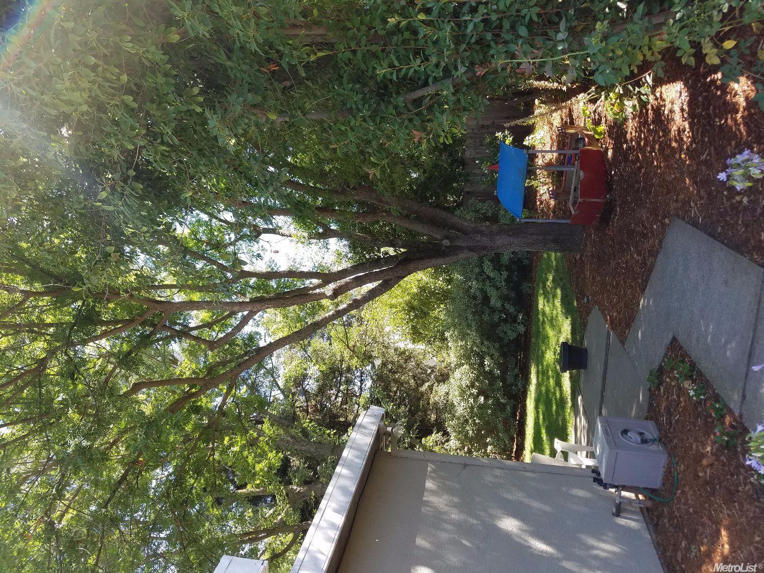 3318 Biscayne Bay Pl, Davis, CA 95616 photo 12