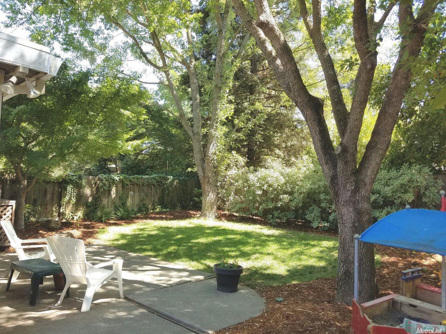 3318 Biscayne Bay Pl, Davis, CA 95616 photo 11