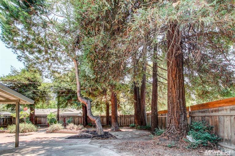600 E Rumble, Modesto, CA 95355 photo 24