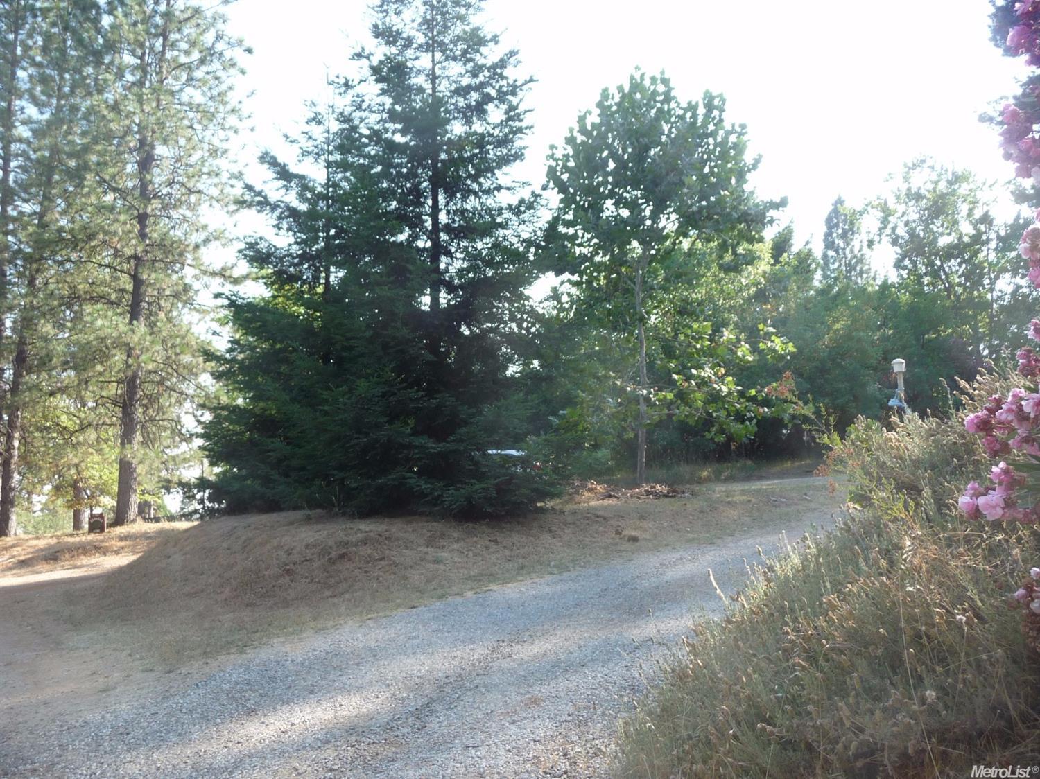2951 Roc Rd, Placerville, CA 95667 photo 13