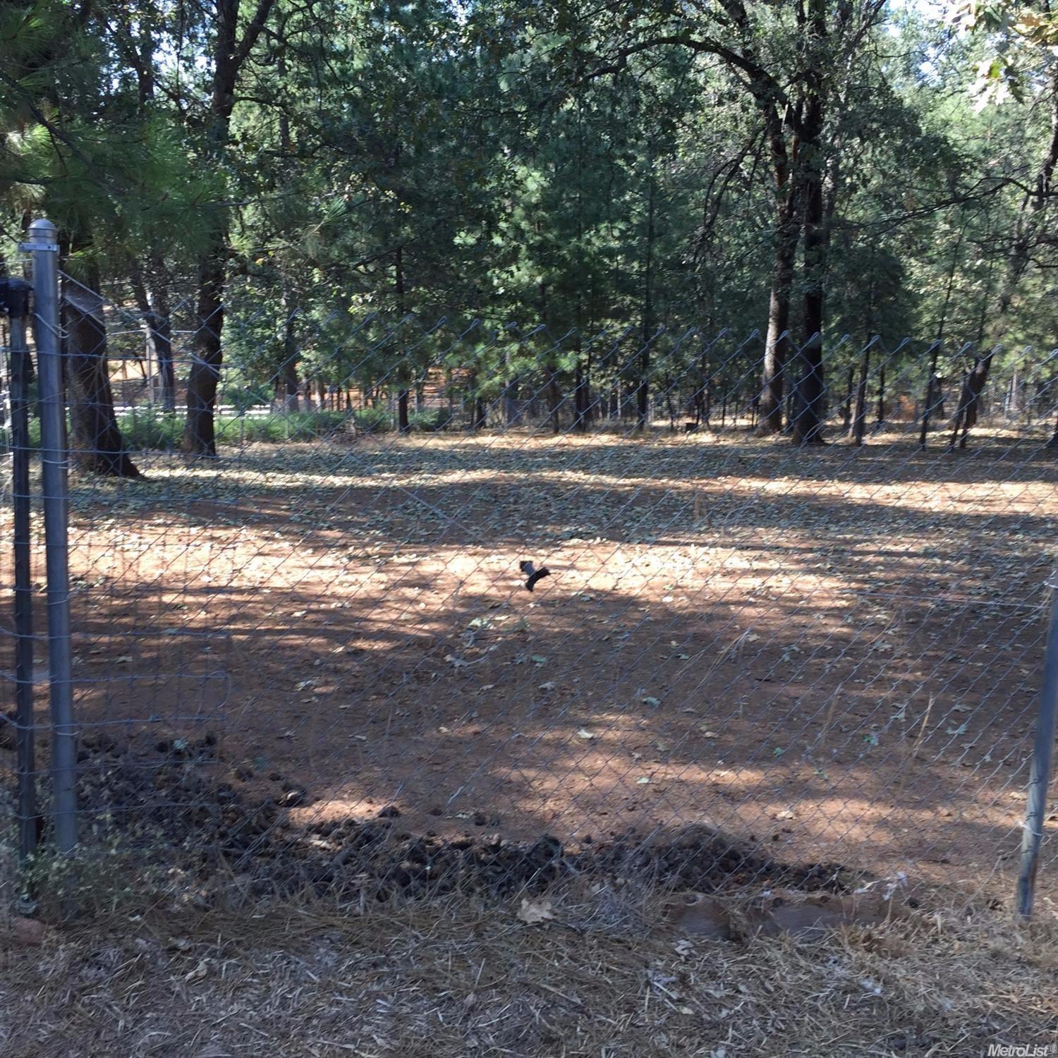 2951 Roc Rd, Placerville, CA 95667 photo 9