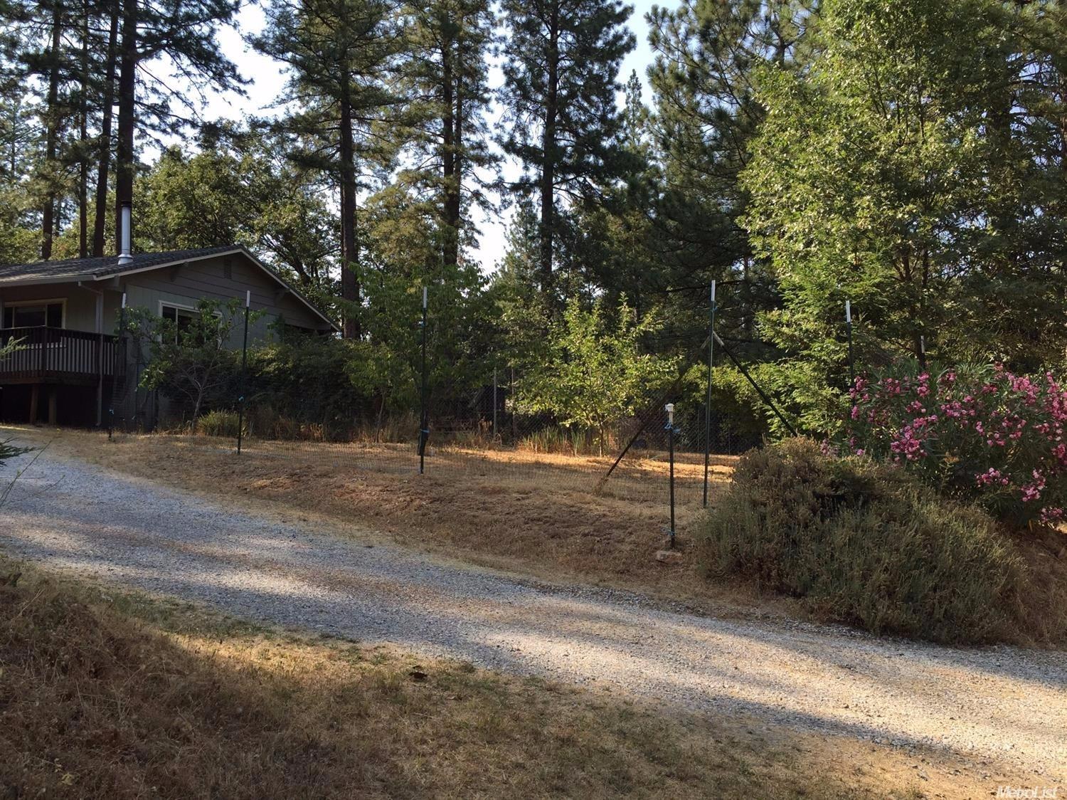 2951 Roc Rd, Placerville, CA 95667 photo 10