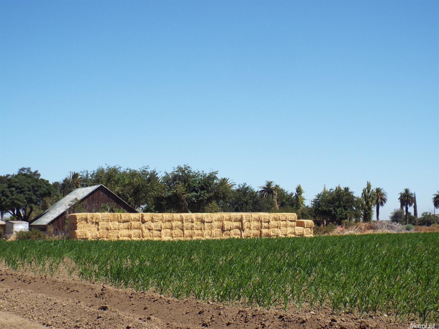 1518 E Las Palmas Ave, Patterson, CA 95363 photo 7