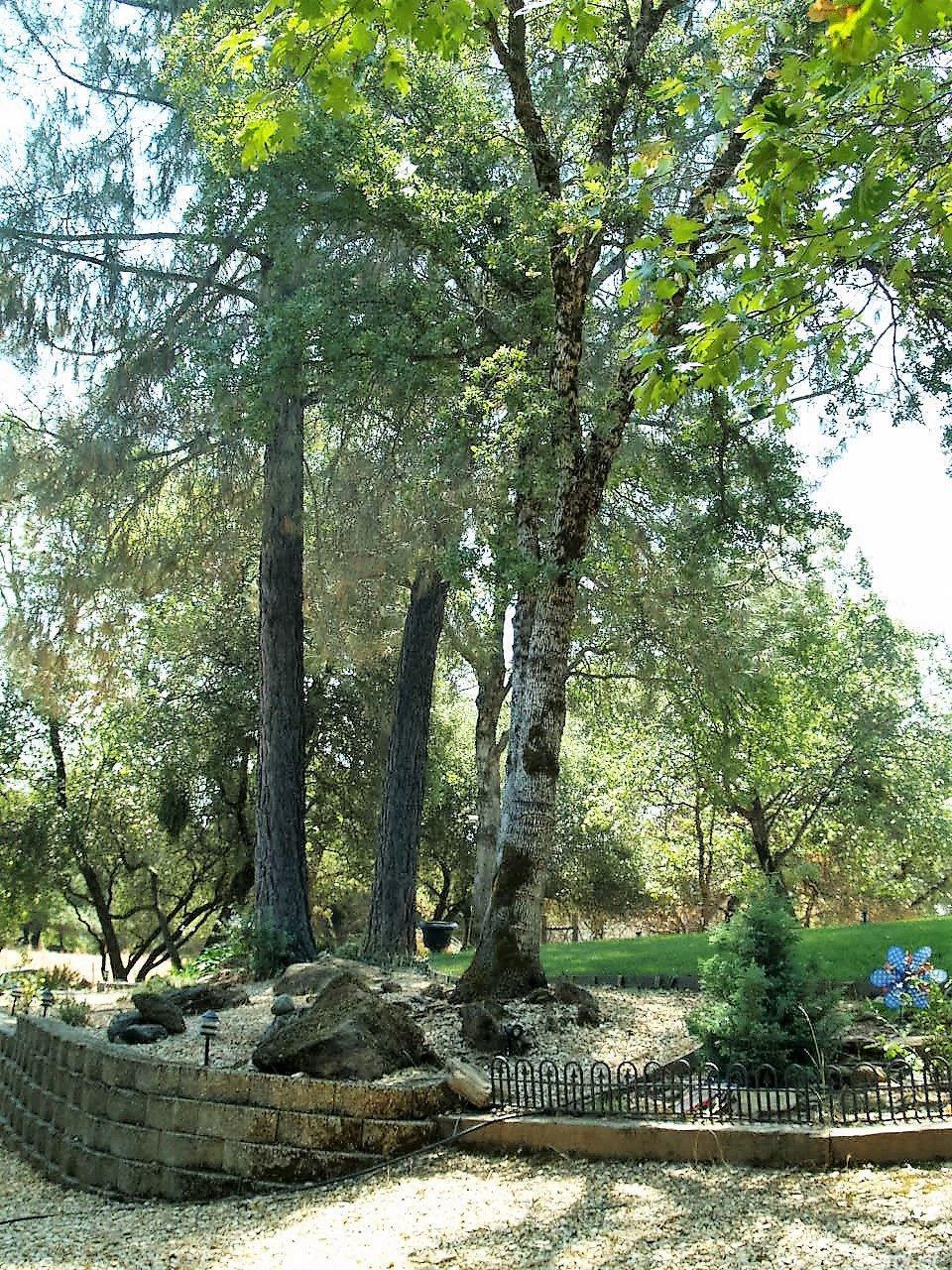 4800 Robledo Dr, Placerville, CA 95667 photo 15
