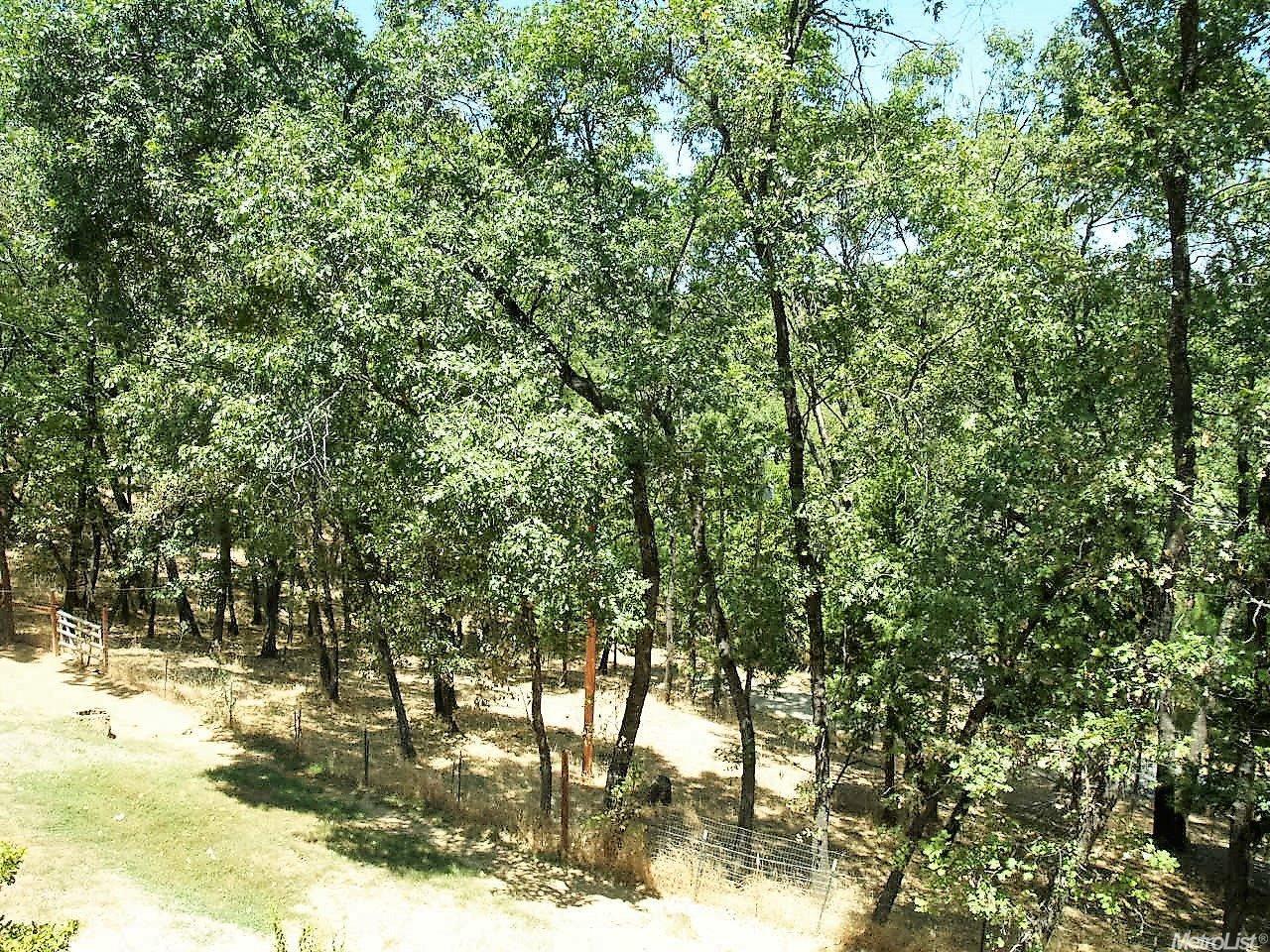 4800 Robledo Dr, Placerville, CA 95667 photo 18