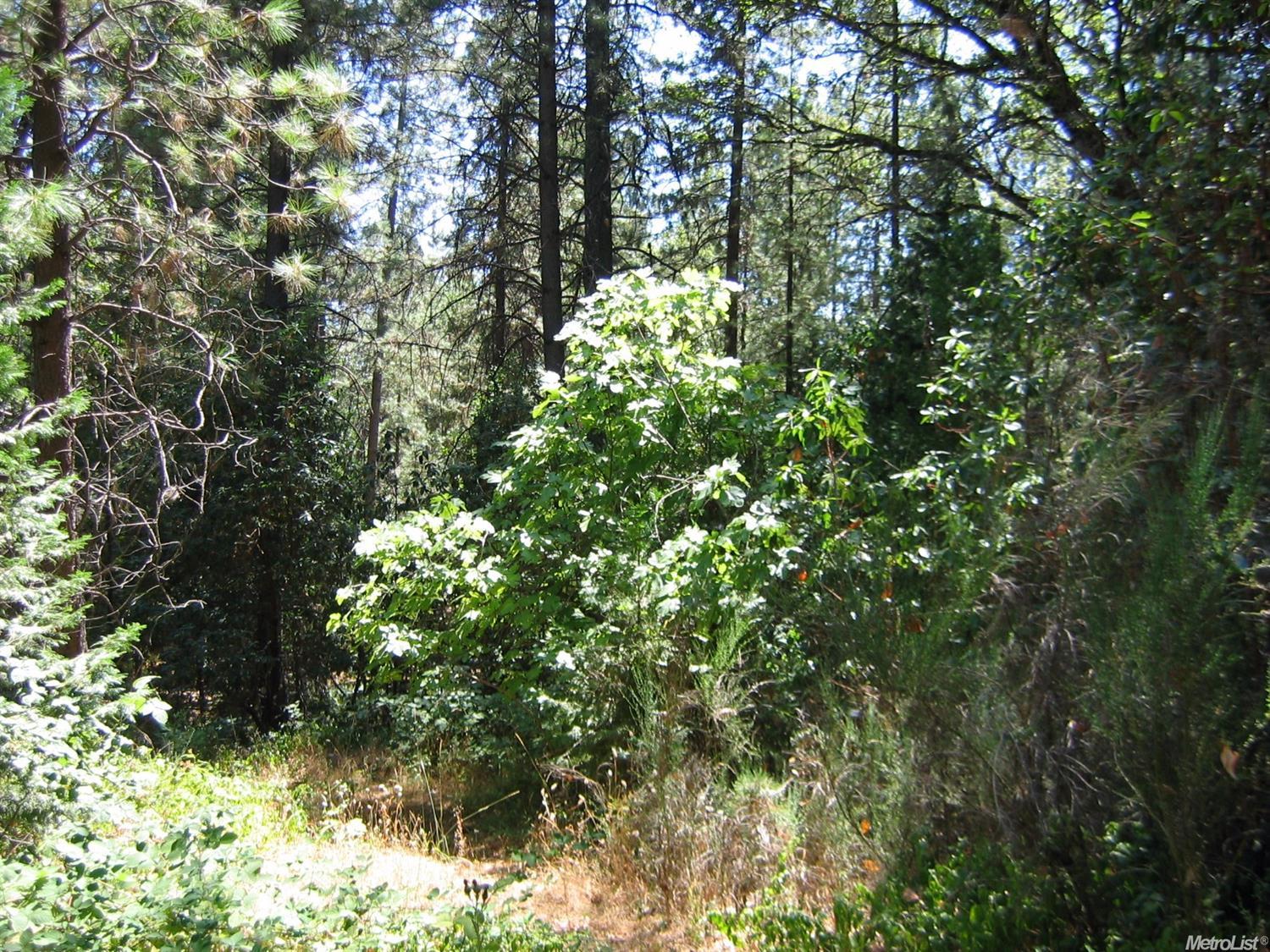 4045 Cedar Dr, Georgetown, CA 95634 photo 23