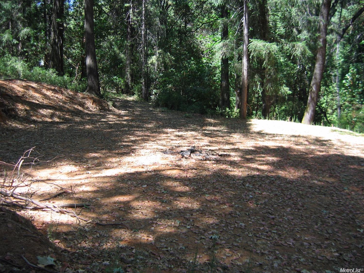 4045 Cedar Dr, Georgetown, CA 95634 photo 17