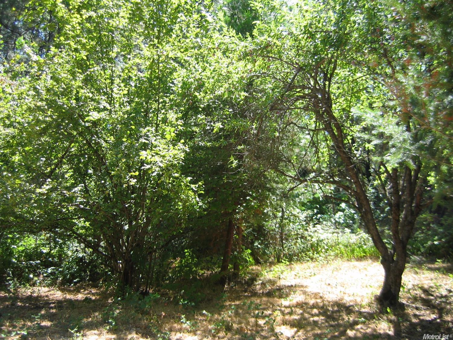 4045 Cedar Dr, Georgetown, CA 95634 photo 22