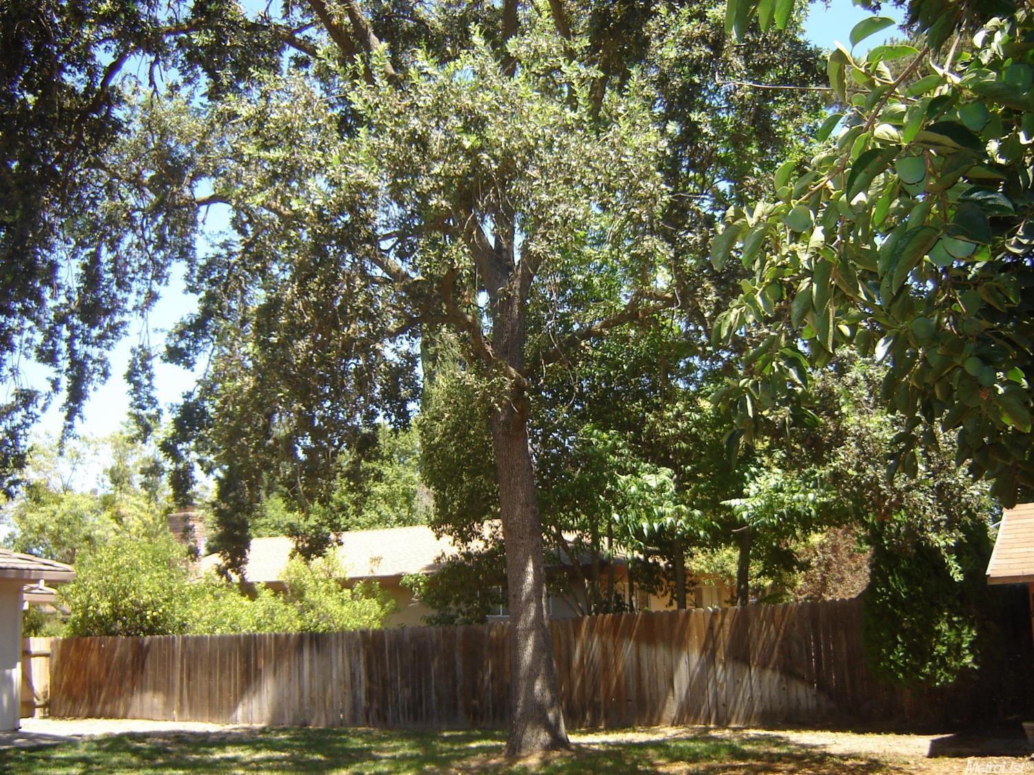 5508 Whitfield Way, Carmichael, CA 95608 photo 21