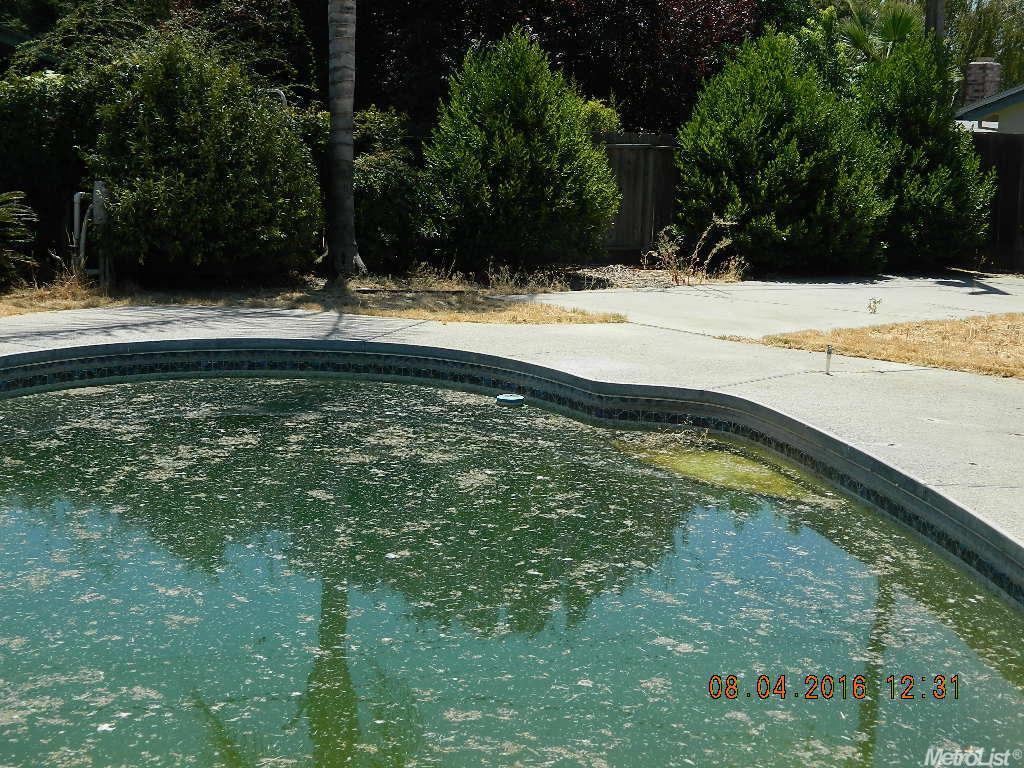 938 Van Ct, Ripon, CA 95366 photo 23