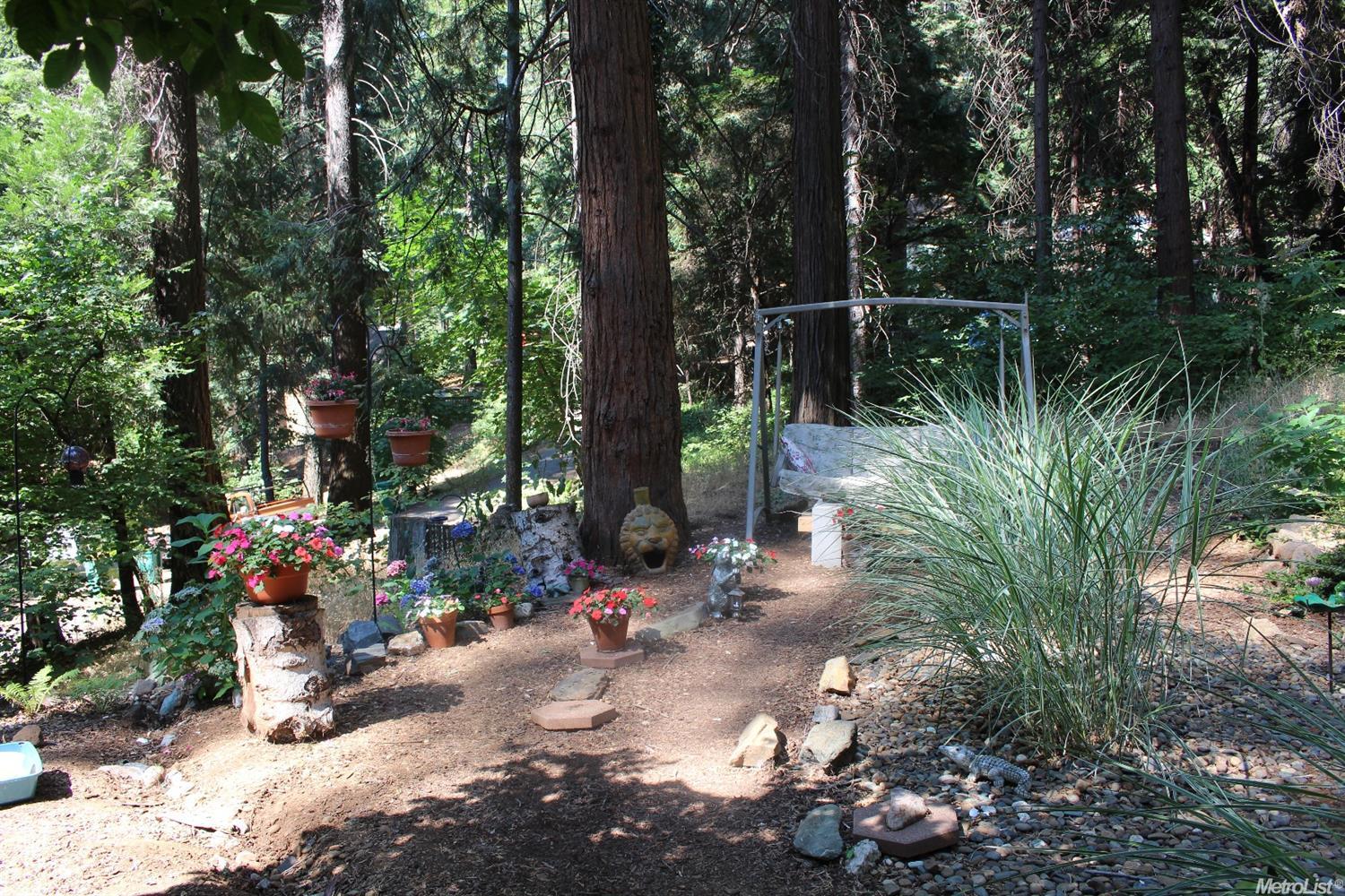 3121 Easy St, Pollock Pines, CA 95726 photo 10