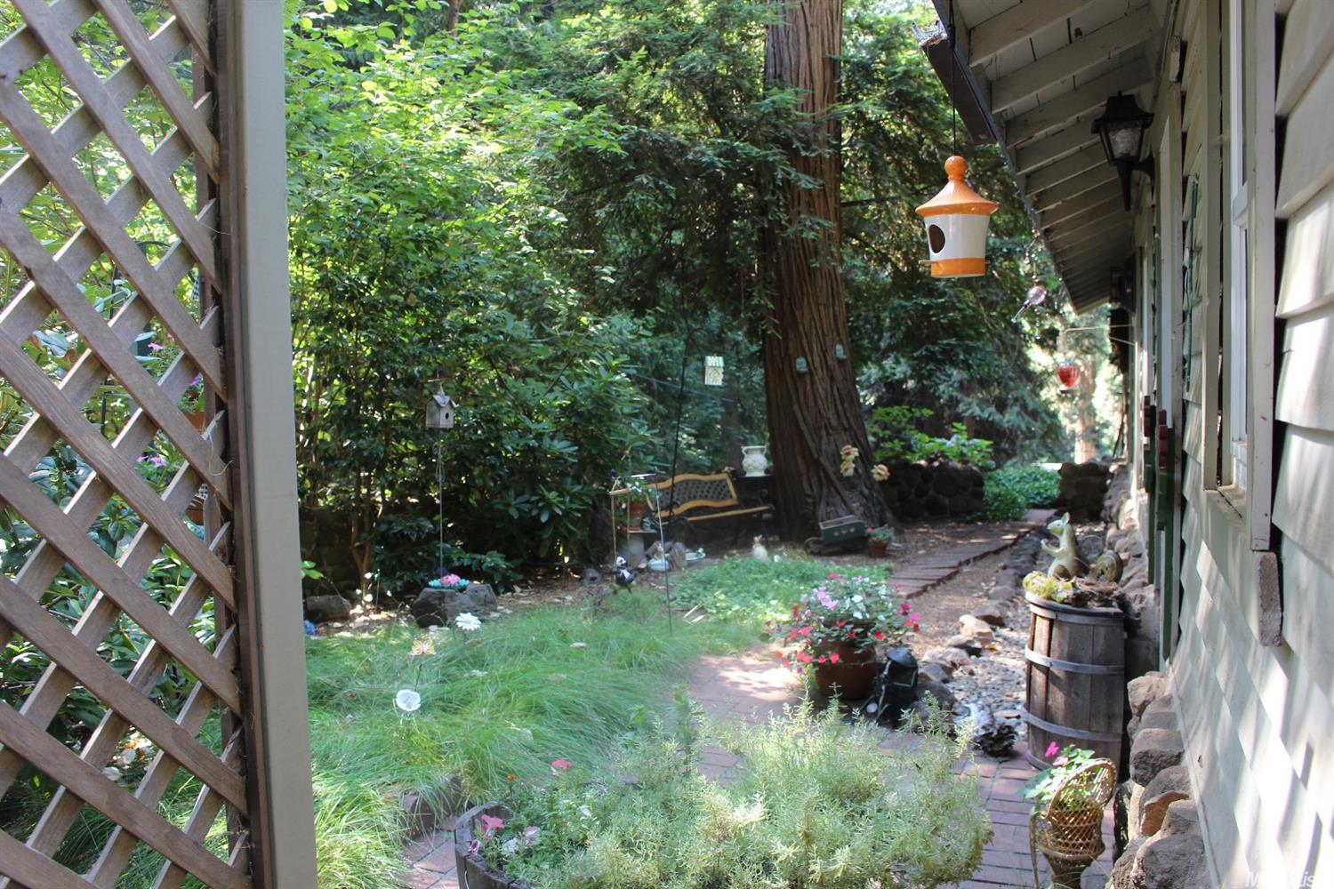 3121 Easy St, Pollock Pines, CA 95726 photo 14