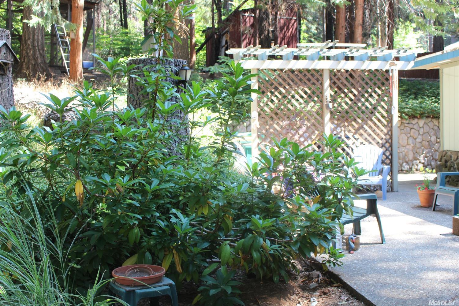 3121 Easy St, Pollock Pines, CA 95726 photo 8