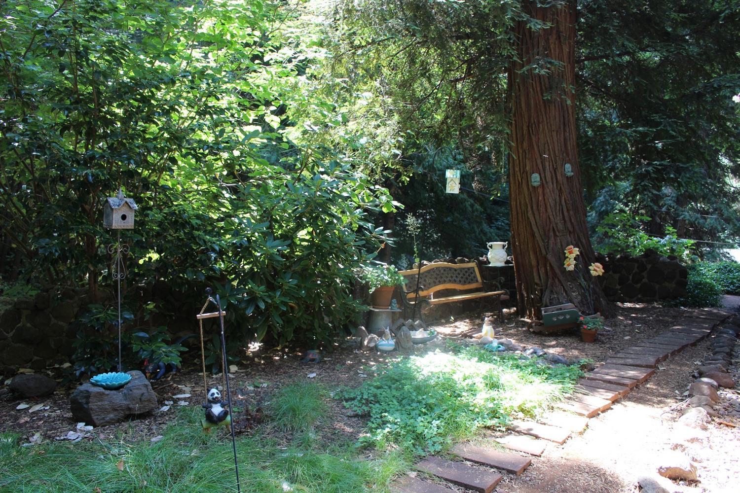 3121 Easy St, Pollock Pines, CA 95726 photo 23