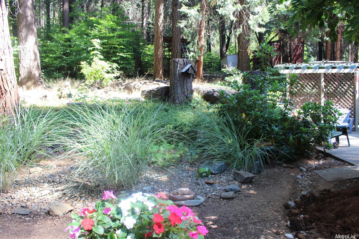 3121 Easy St, Pollock Pines, CA 95726 photo 5