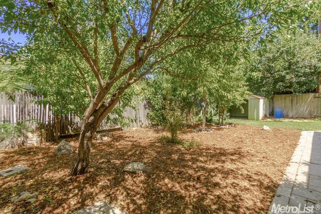 1224 Cedar Pl, Davis, CA 95616 photo 24