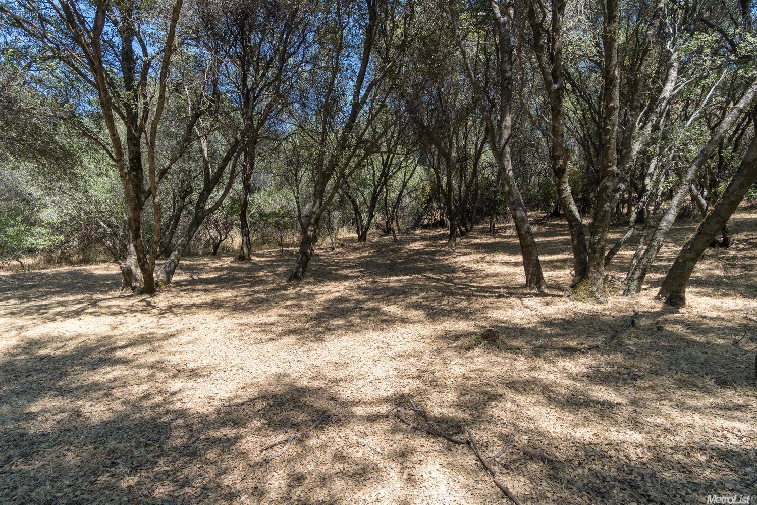 3811 Noel Ct, Placerville, CA 95667 photo 24