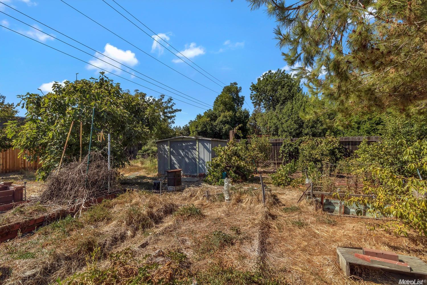 1107 L St, Davis, CA 95616 photo 25