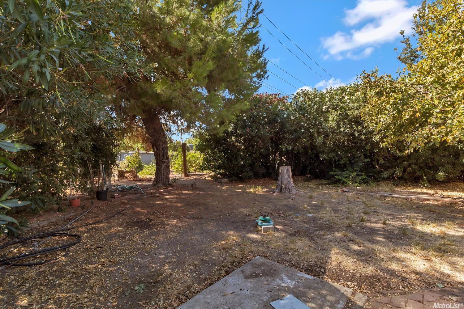 1107 L St, Davis, CA 95616 photo 20