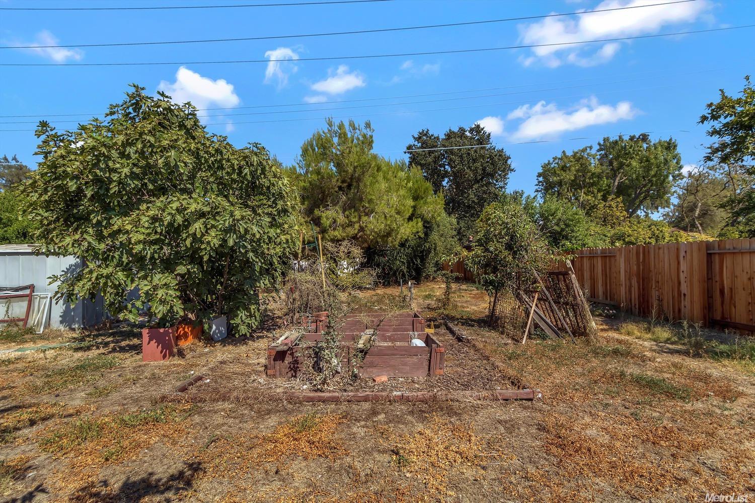 1107 L St, Davis, CA 95616 photo 24