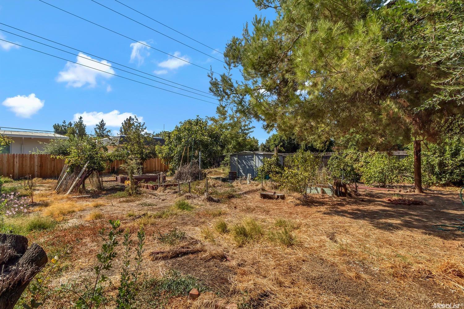 1107 L St, Davis, CA 95616 photo 22