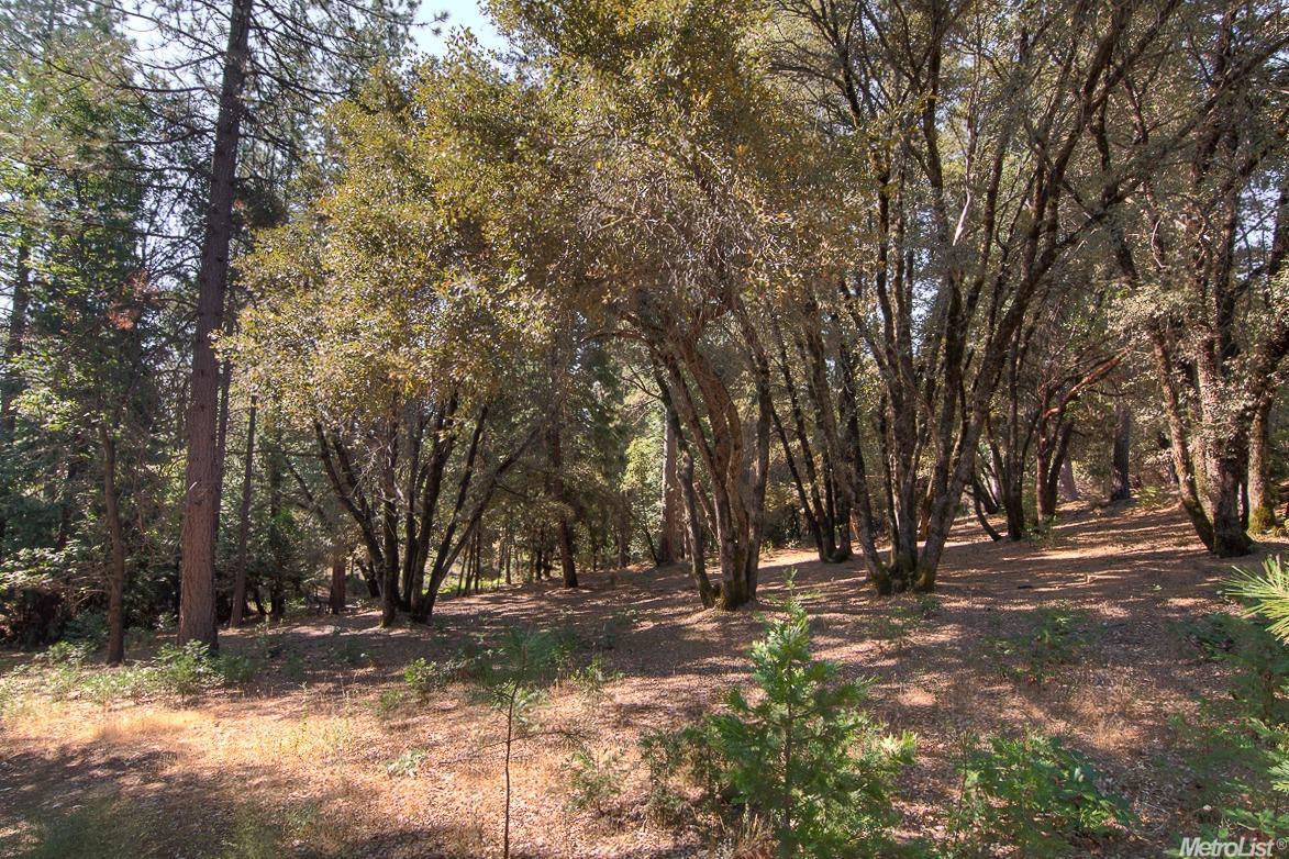 7340 Prospect Hill Dr, Georgetown, CA 95634 photo 5