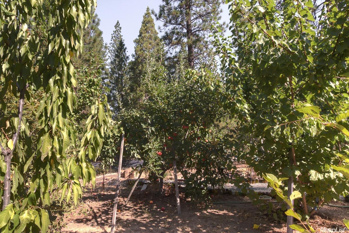 7340 Prospect Hill Dr, Georgetown, CA 95634 photo 19