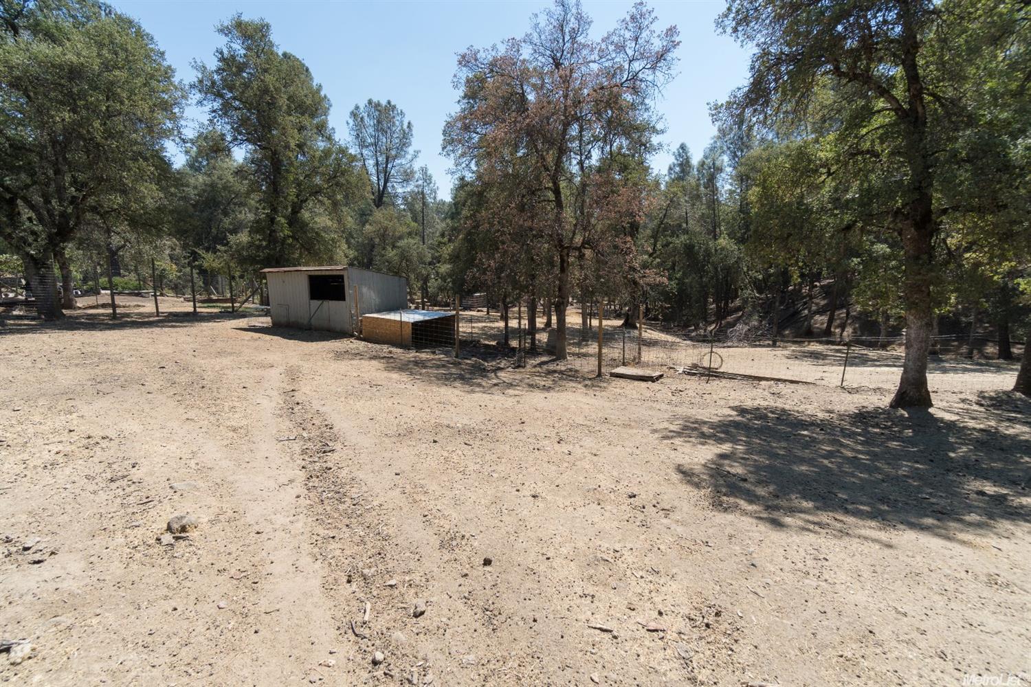 3810 Wilson Loop, Placerville, CA 95667 photo 6