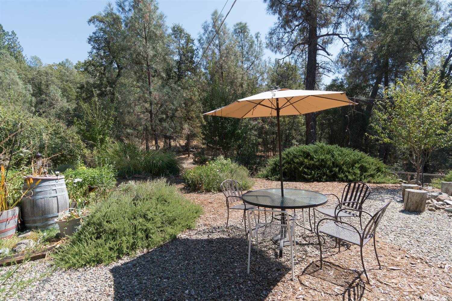 3810 Wilson Loop, Placerville, CA 95667 photo 23