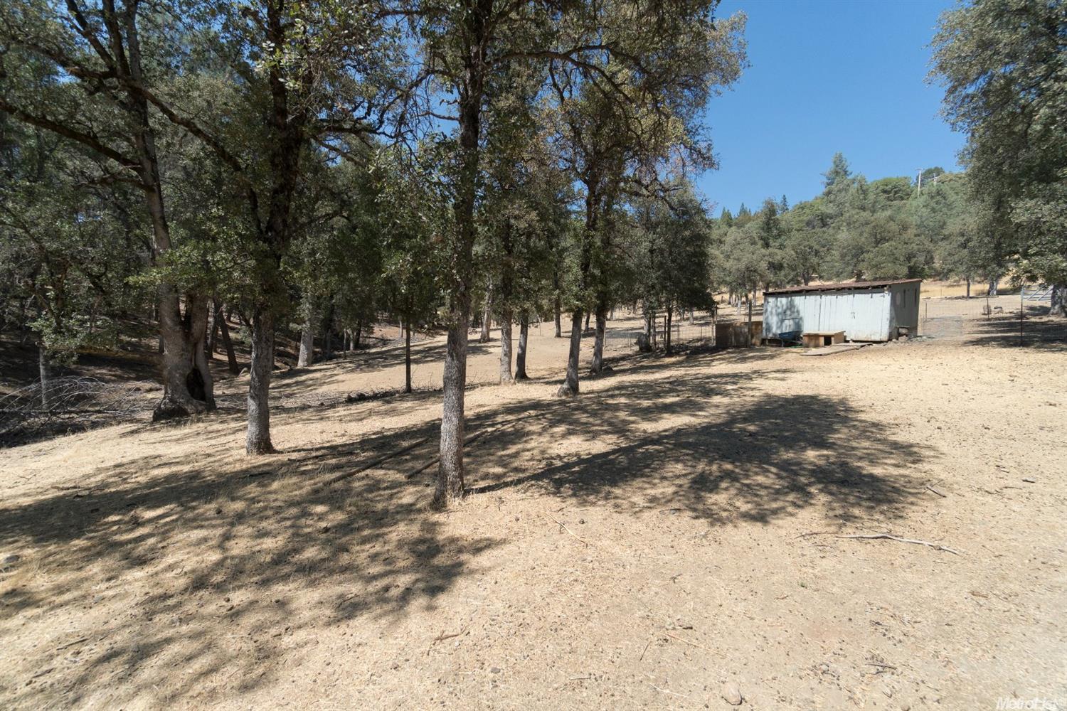 3810 Wilson Loop, Placerville, CA 95667 photo 9