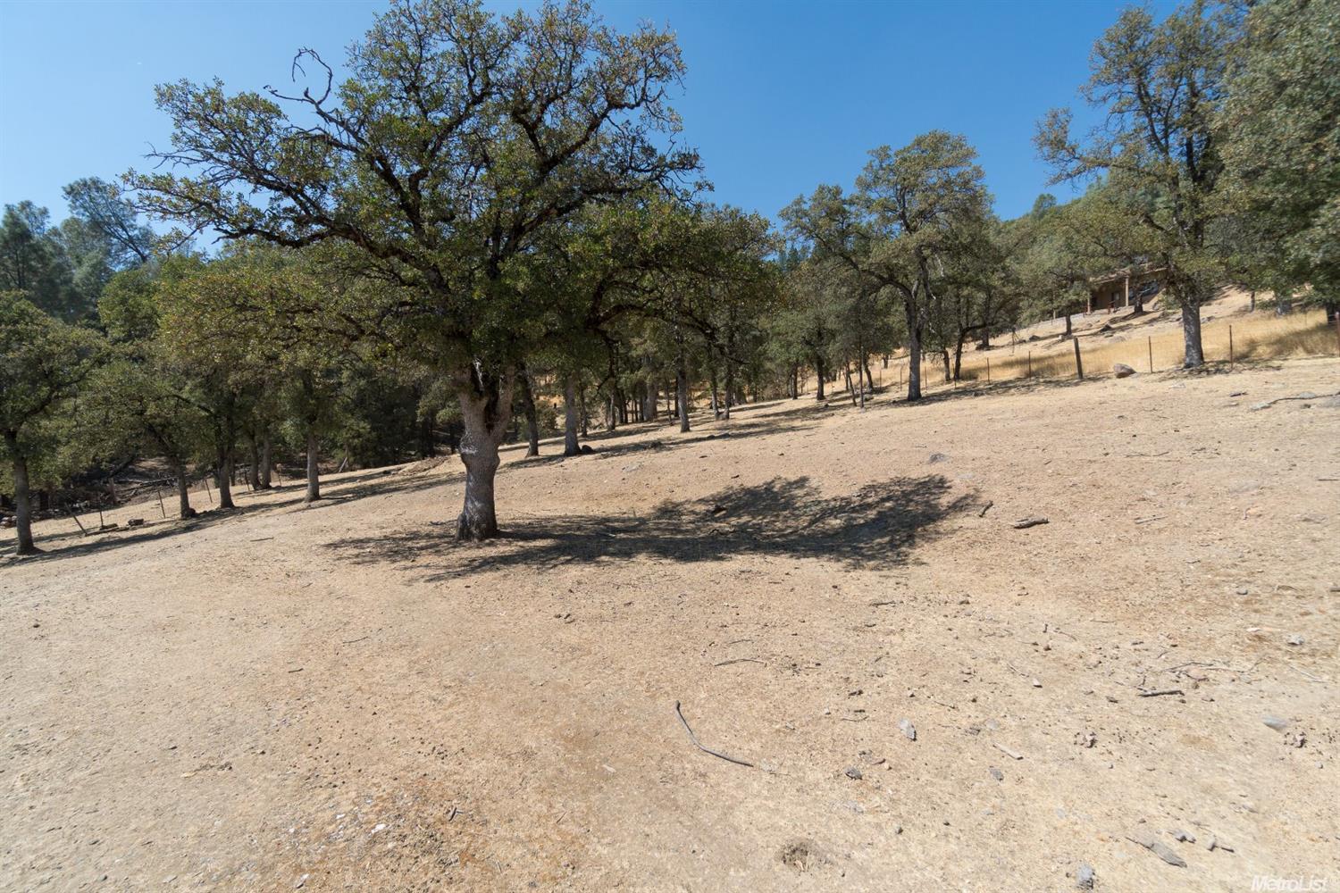 3810 Wilson Loop, Placerville, CA 95667 photo 8