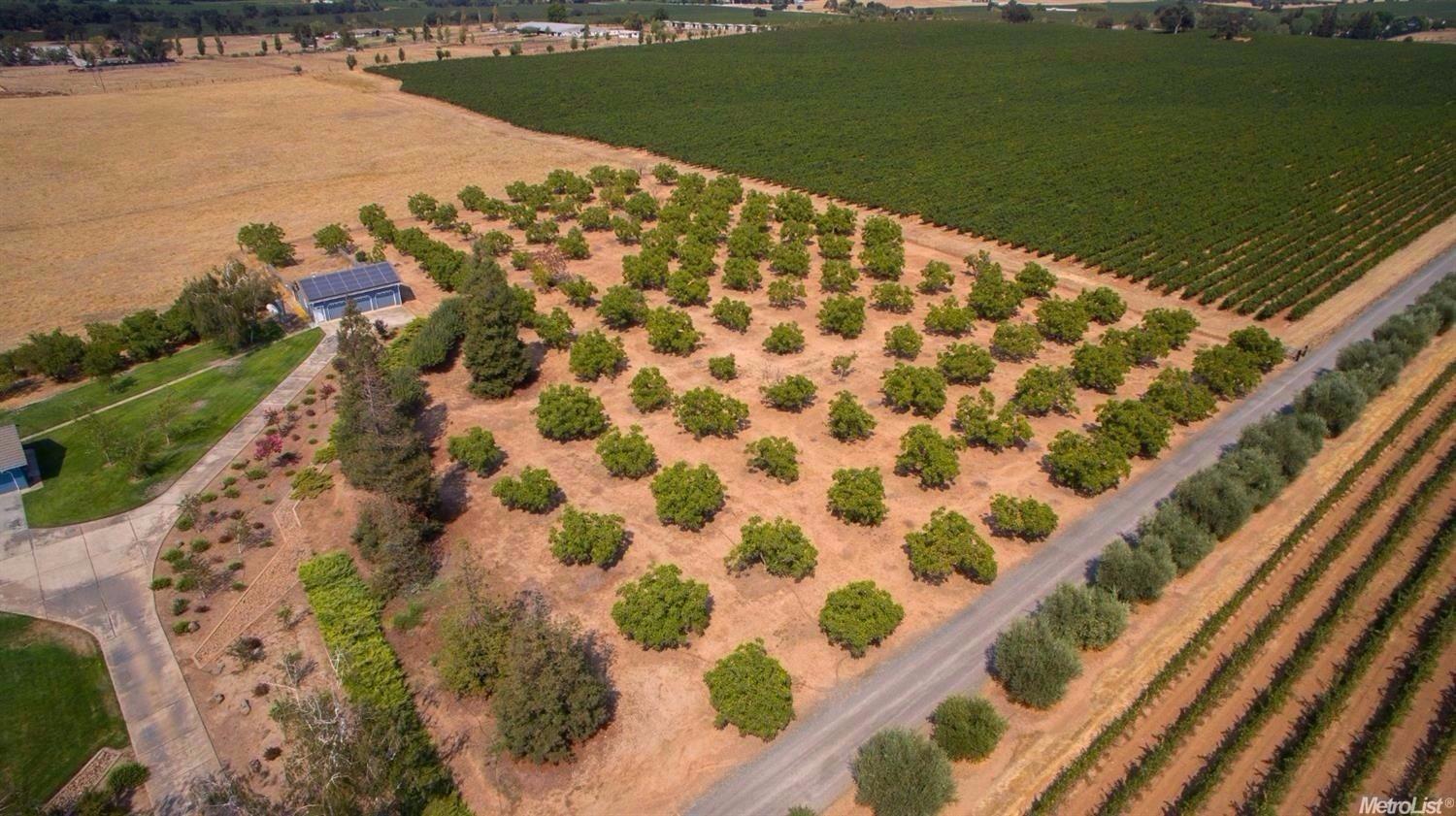 19511 Atkins Rd, Lodi, CA 95240 photo 5