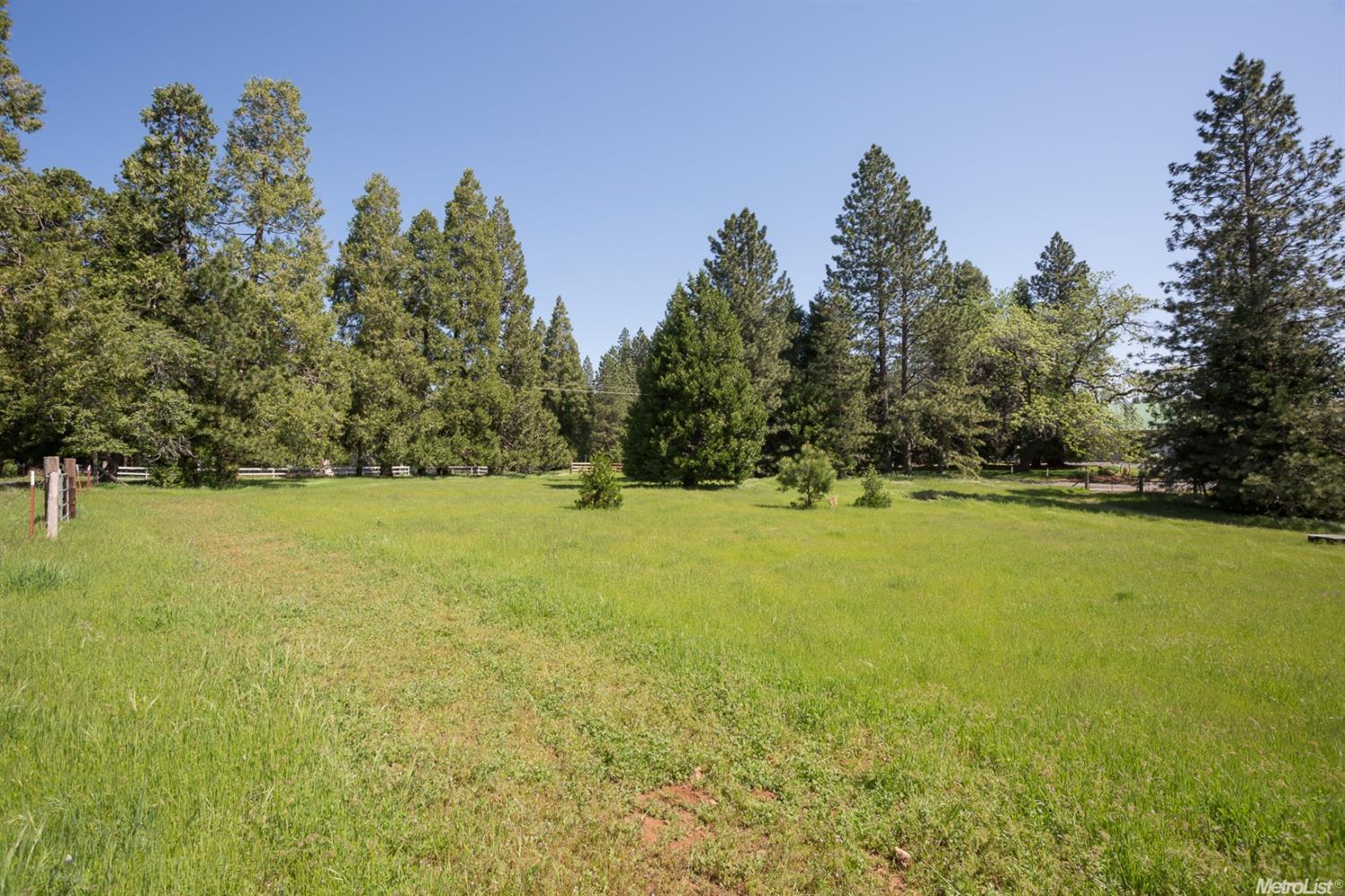 22338 Shake Ridge Rd, Volcano, CA 95689 photo 18