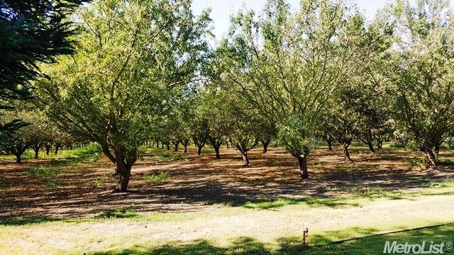 4600 E Service Rd, Ceres, CA 95307 photo 14