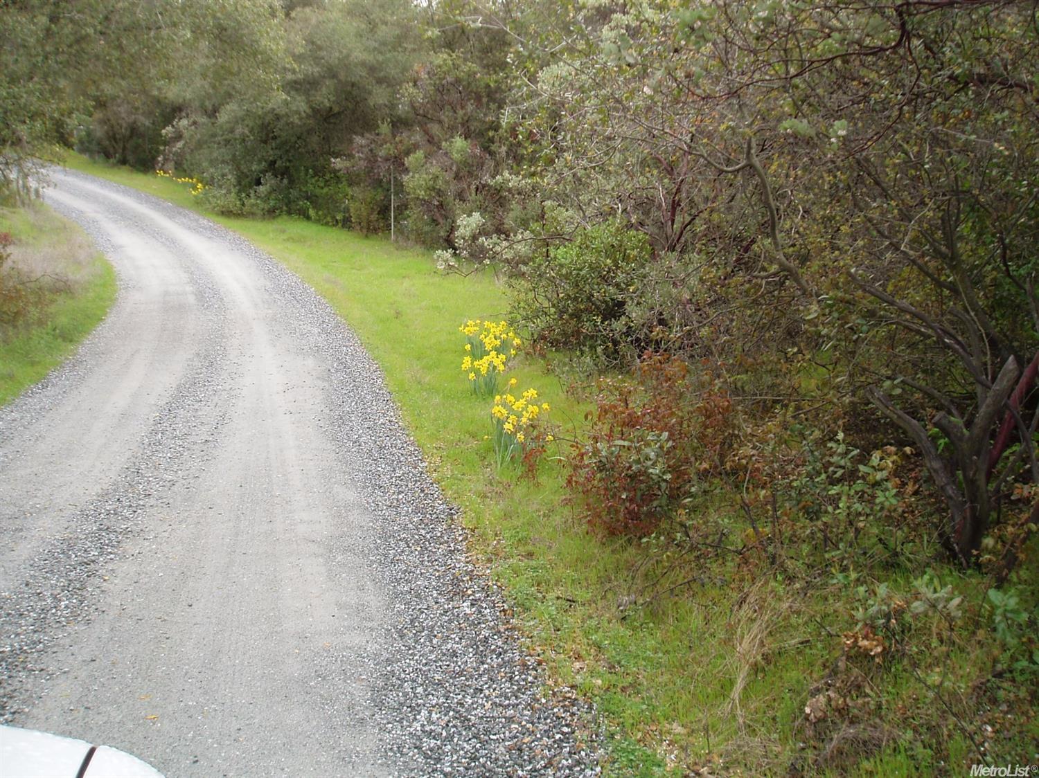 2350 Andreas Vis, San Andreas, CA 95249 photo 9