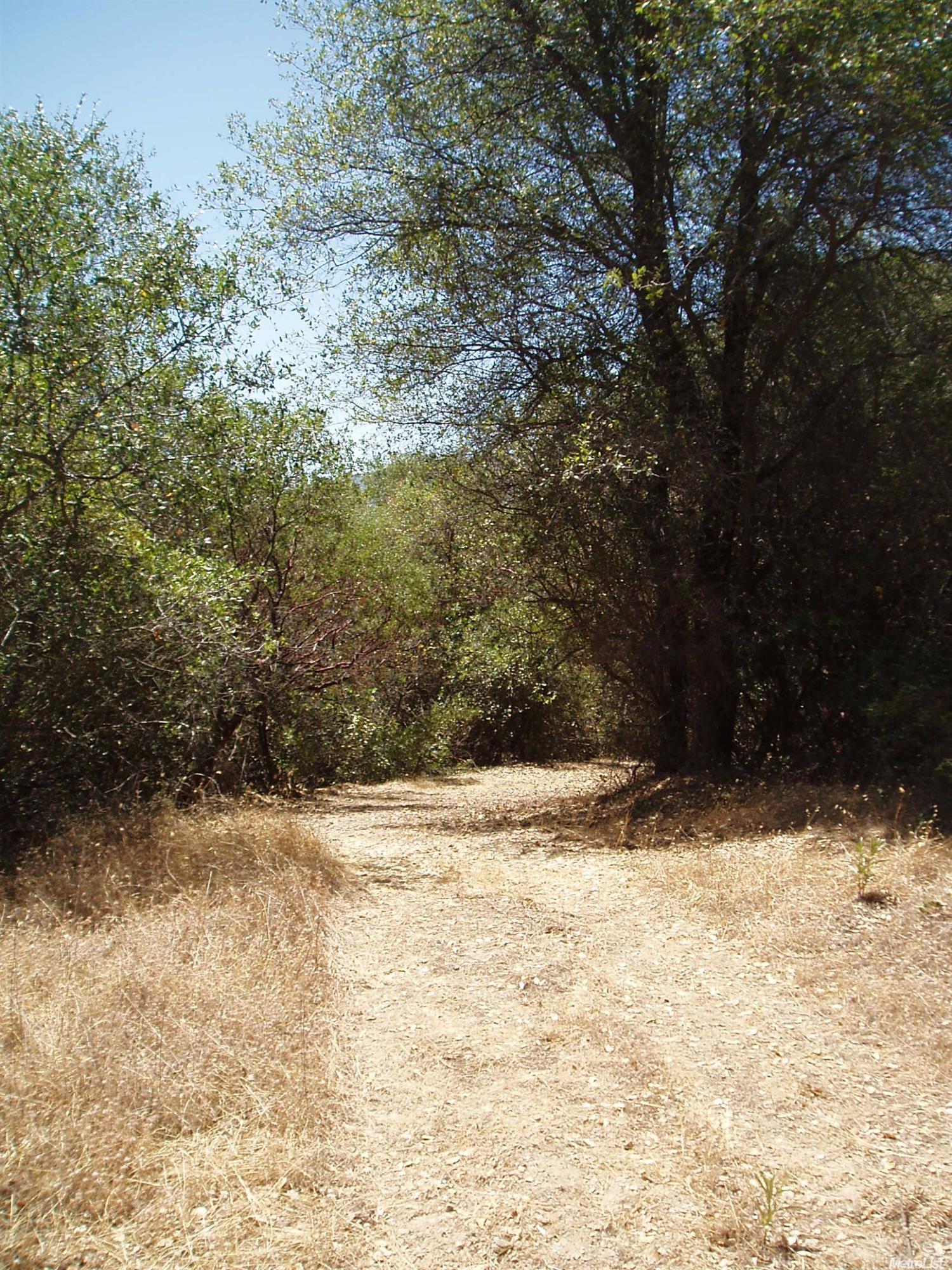 2350 Andreas Vis, San Andreas, CA 95249 photo 7