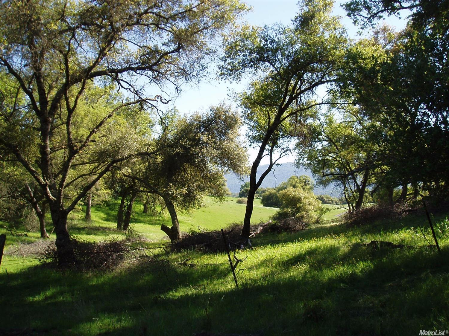 2350 Andreas Vis, San Andreas, CA 95249 photo 1