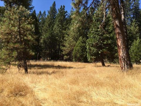 20100 W Pine Dr, Volcano, CA 95689 photo 1