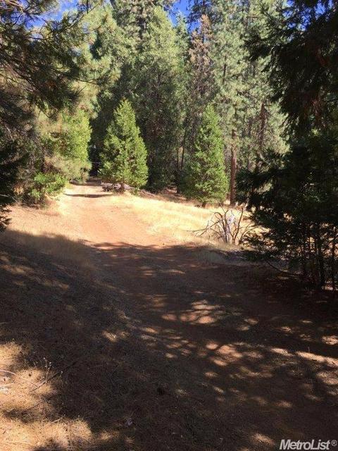 20100 W Pine Dr, Volcano, CA 95689 photo 2