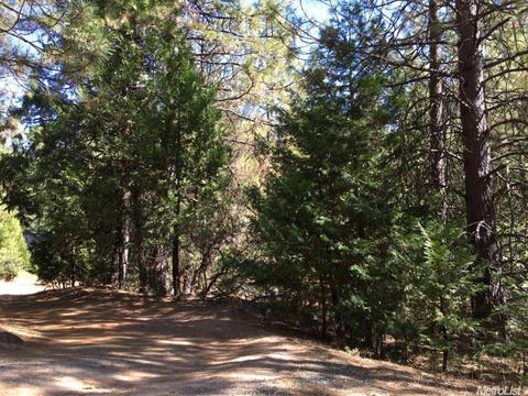 20100 W Pine Dr, Volcano, CA 95689 photo 5