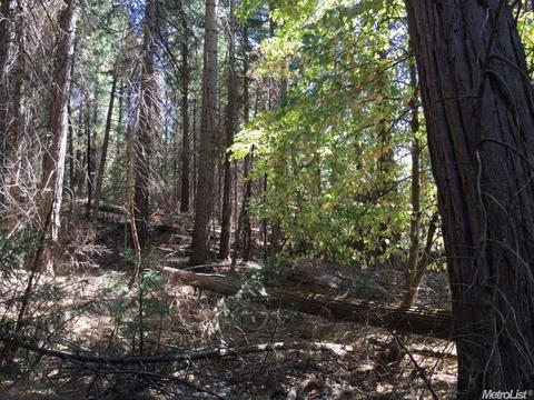 20100 W Pine Dr, Volcano, CA 95689 photo 4