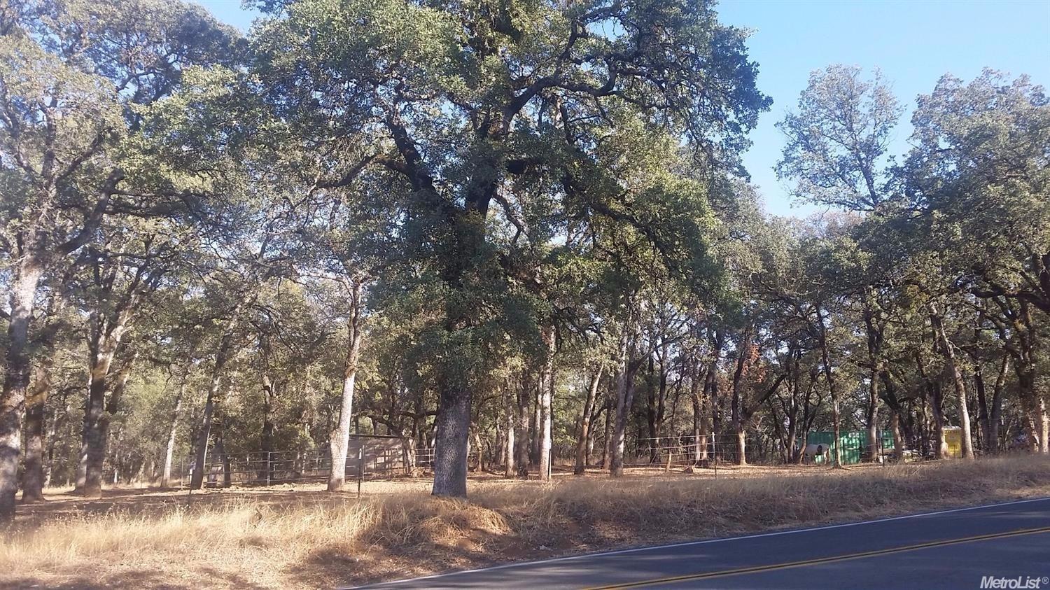 15212 Wolf Rd, Grass Valley, CA 95949 photo 3